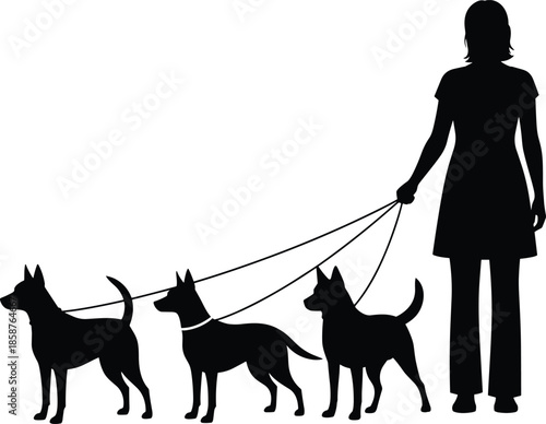 Silhouette of woman walking three dogs on leashes symbolizing pet care, companionship, outdoor activity, animal walking service concept