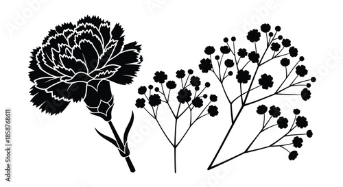 Floral arrangement featuring a carnation and delicate baby s breath in black and white