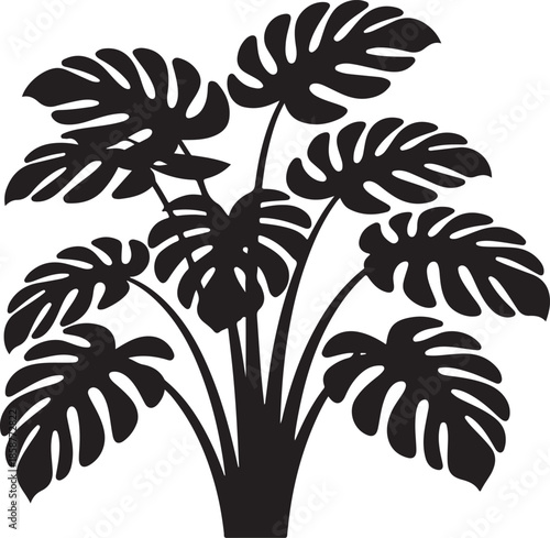 Silhouette of a large monstera deliciosa houseplant with characteristic split leaves perfect for interior decor