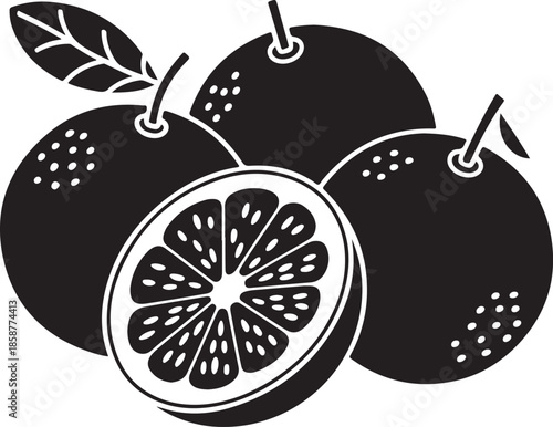 Citrus fruit illustration with oranges or grapefruits sliced showing juicy pulp and segments for food