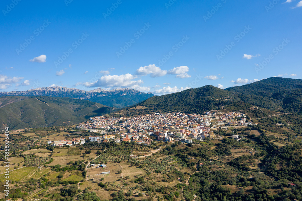 Naklejka premium Wide aerial view of Orgosolo nestled among green hills and rugged mountains, under a bright blue sky with scattered clouds in Sardinia, Italy.