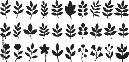 Collection of various nature plant leaves silhouettes, simple flat vector autumn and summer botany elements, natural branches