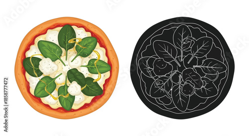A vibrant pizza with spinach and cheese alongside its line art illustration