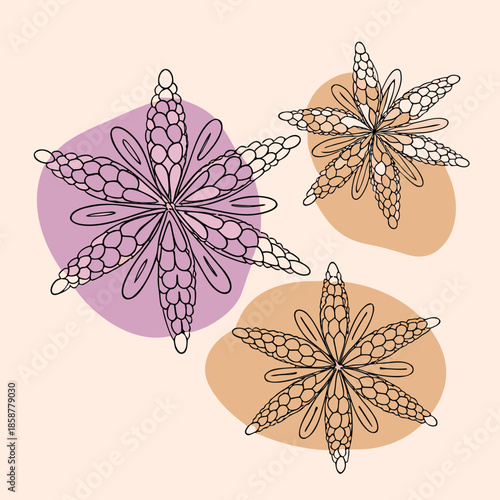 set of vector flowers