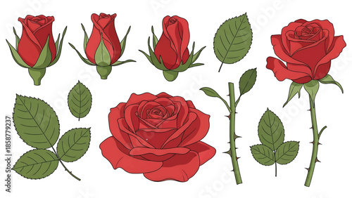 A collection of red rose elements including buds, full blooms, green leaves, thorny stems, and single petals
