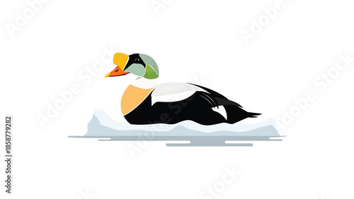 A colorful eider duck with black, white, orange, yellow, and green plumage rests on an ice floe