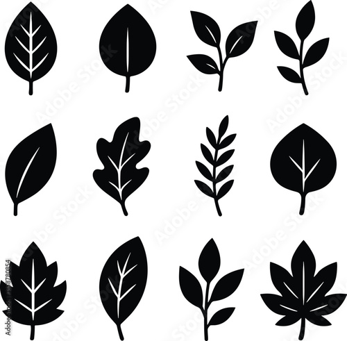 Natural Leaf Foliage Black Silhouettes