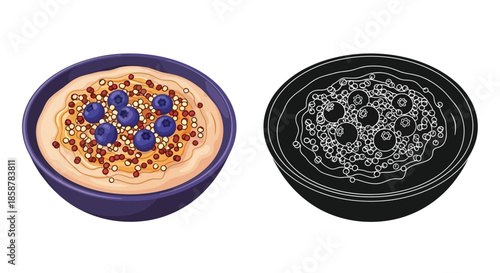 A colorful breakfast bowl with oatmeal blueberries and seeds illustration