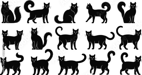 Black cat silhouette set, cute feline poses collection, walking sitting playful cats, pet animal vector illustration design, minimal, flat, art