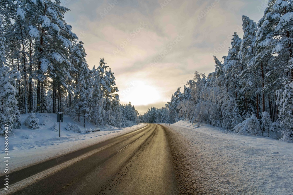 Obraz premium road in winter