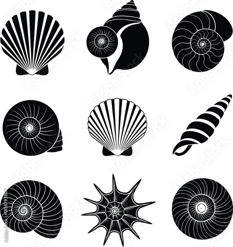 Set of black and white seashell vector silhouettes featuring scallop shells, nautilus, spiral snail shells, and spiked sea mollusks for nautical summer beach designs.