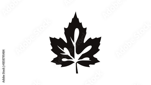 Black silhouette of a maple leaf on a white background.