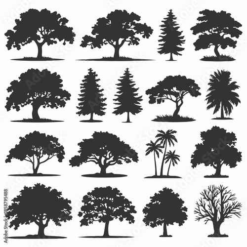 Set of various trees with different shapes and sizes