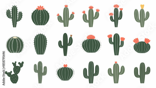 Collection of various cactus illustrations in different shapes and sizes with flowers on top