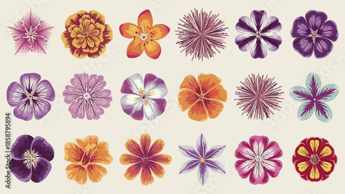 Colorful floral patterns with intricate designs and vibrant hues showcasing various petal shapes and artistic arrangements