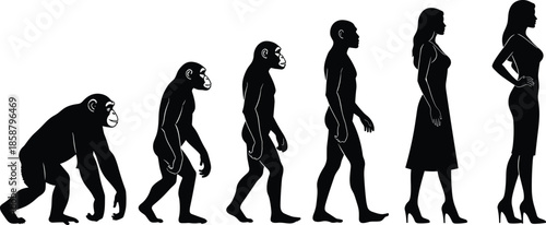 Human evolution silhouette sequence, ape to modern woman progression, Darwin theory concept, anthropology history vector illustration