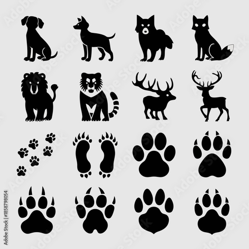 Collection of black silhouettes of various animals and their paw prints on