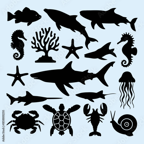 Collection of various marine life illustrations including fish, shark, seahorse, starfish, jellyfish, turtle, crab, lobster, and snail