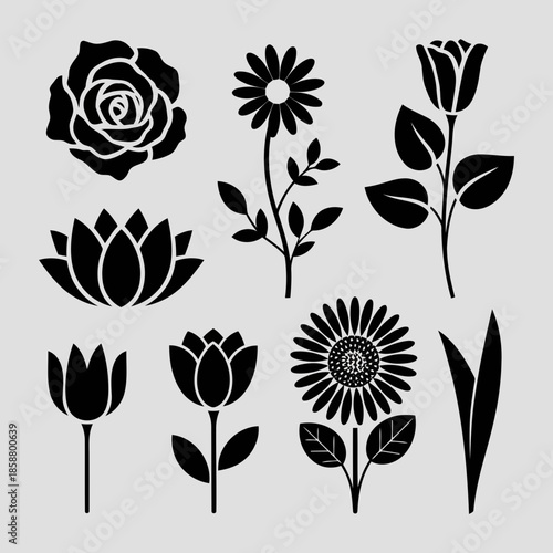 A collection of various flowers and plants in black and white silhouette style
