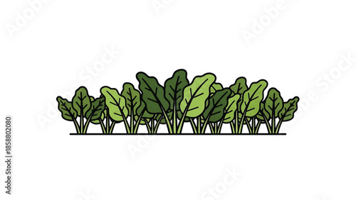 A graphic illustration of green plants with thick stems and large, varied leaves