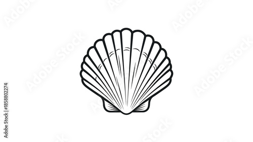 A graphic outline of a fan-shaped shell with radiating lines