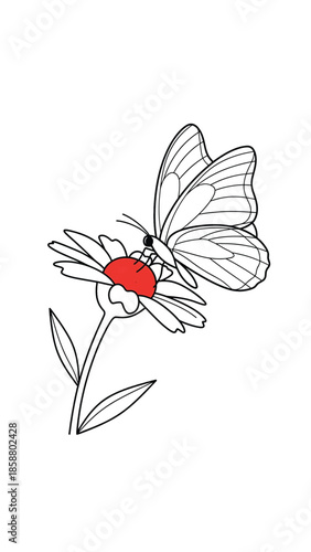 A delicate line drawing shows a butterfly with intricate wing patterns poised above a flower's bright red center