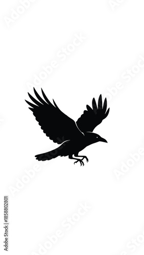 Silhouette of a black bird in flight, wings spread wide, talons extended