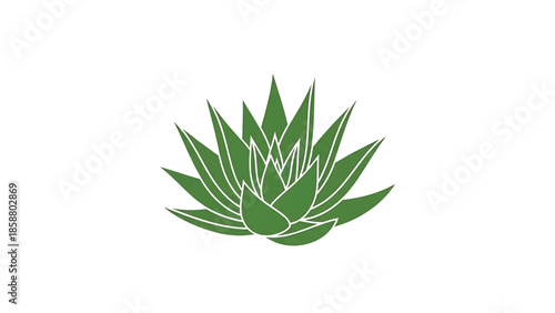 A minimalist green succulent plant with pointed leaves, outlined in white