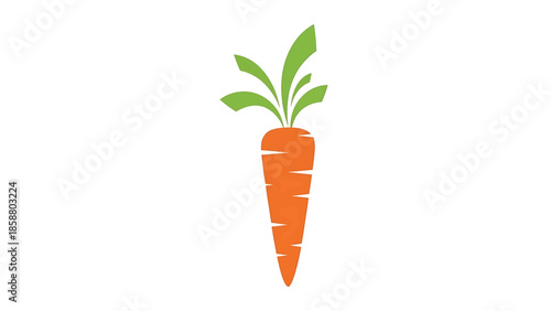 A simple vector illustration of a bright orange carrot with green leafy tops