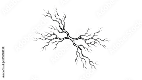 Abstract branching pattern of thick, flowing lines extending to delicate, fine tendrils