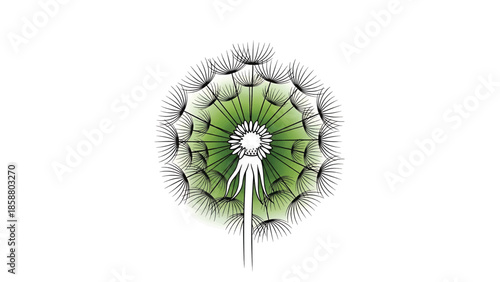 Minimalist illustration of a dandelion seed head with a soft green gradient