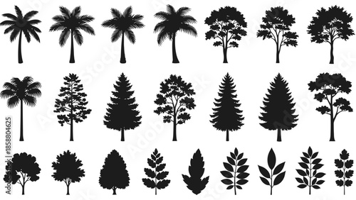 A collection of diverse tree and palm silhouettes in black and white
