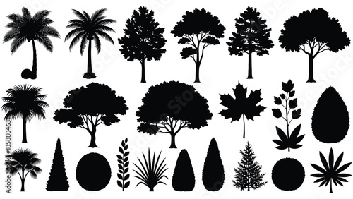 Collection of various black silhouette trees palms and leafy plant shapes