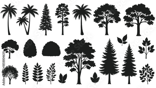 Silhouettes of various trees bushes and foliage in a black and white design