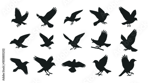 A collection of black silhouettes depicting birds in various flight poses