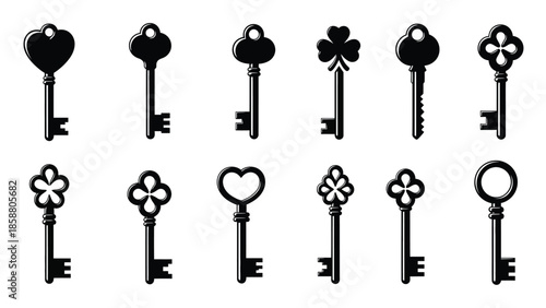 An assortment of decorative black silhouette keys and floral key designs