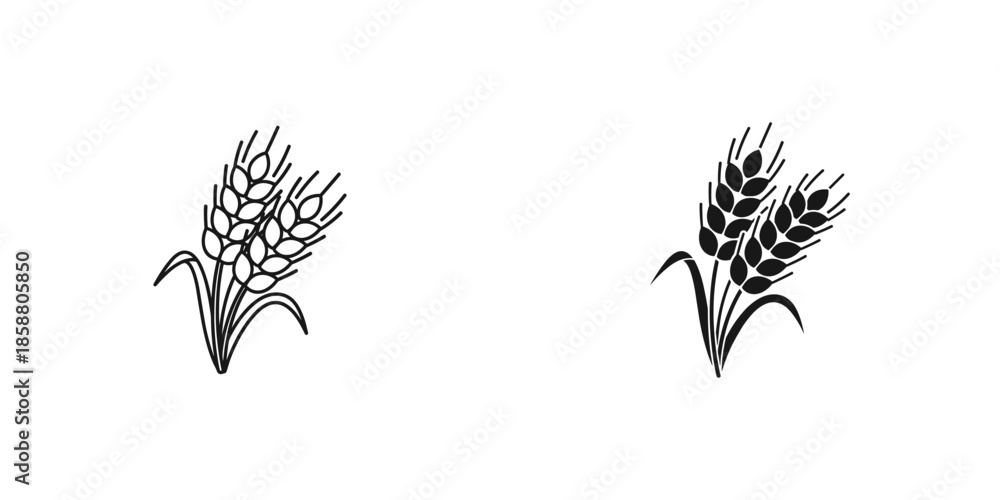 Obraz premium Wheat Stalks Illustration in Black and White