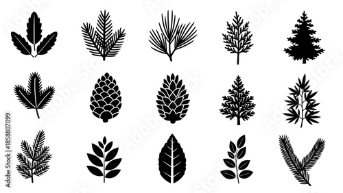 Set of different kinds of trees and leaves