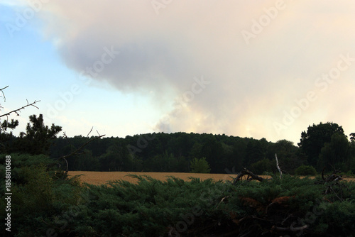 Column of Smoke from a Forest Fire in Brandenburg, Germany
