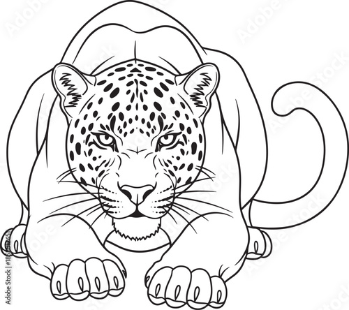 A striking black and white illustration of a leopard poised to pounce