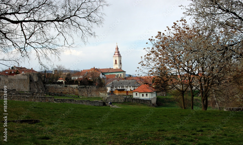Fototapeta premium Scenic view of the historic town of Sárospatak, with a church tower rising above houses and old stone walls in Hungary.