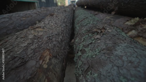 Untreated logs before being sent to the carpentry shop. Filmed in motion