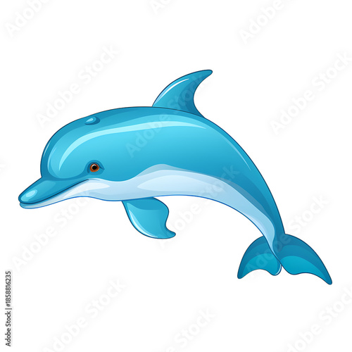 Dolphin Educational Word Card Illustration