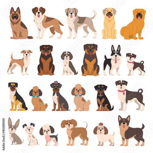 Collection of various dog breeds standing and sitting in different poses on