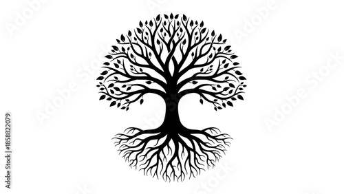 Detailed Black Silhouette of a Tree with Visible Roots and Branches, Symbolizing Growth and Life, Isolated White Background