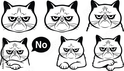 Line art expressive grumpy cat faces set showing six angry expressions with folded paws crossed arms no speech bubble simple black and white vector icons sheet