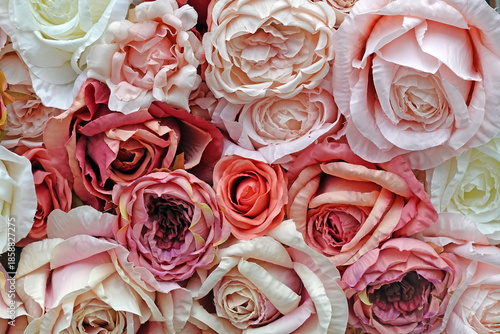 Seidenrosen - silk roses