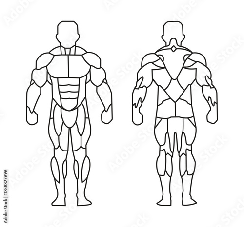 Human Muscle Anatomy Diagram Front and Back View Icon Set
