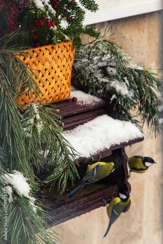 Winter bird feeder with Christmas decoration