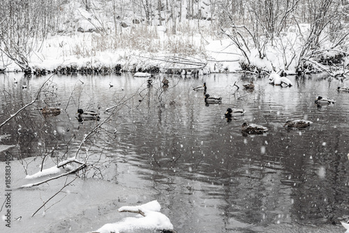 Bilde på lerret Winter riverscape in park Quebec Canada